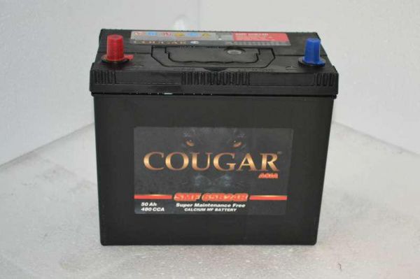 Аккумулятор COUGAR ASIA 50 А/ч SMF 65B24R п.п. тонк.кл. ток 480А