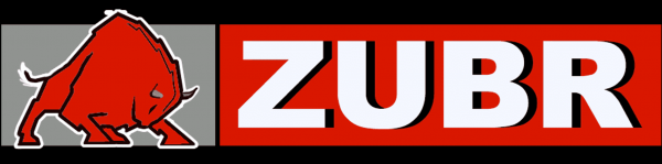 Аккумулятор ZUBR PREMIUM 65.1 А/ч п/п