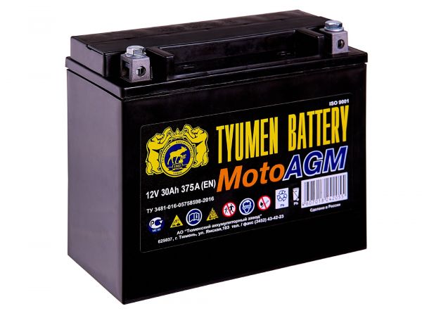 Аккумулятор ТАЗ 6МТС-30 AGM