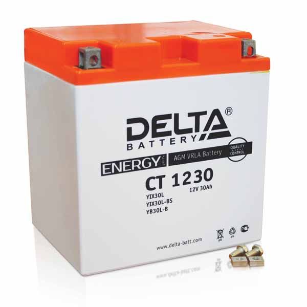 Аккумулятор Delta CT 1230 12V 30Ah (YIX3OL-BS / YB3OL-B)